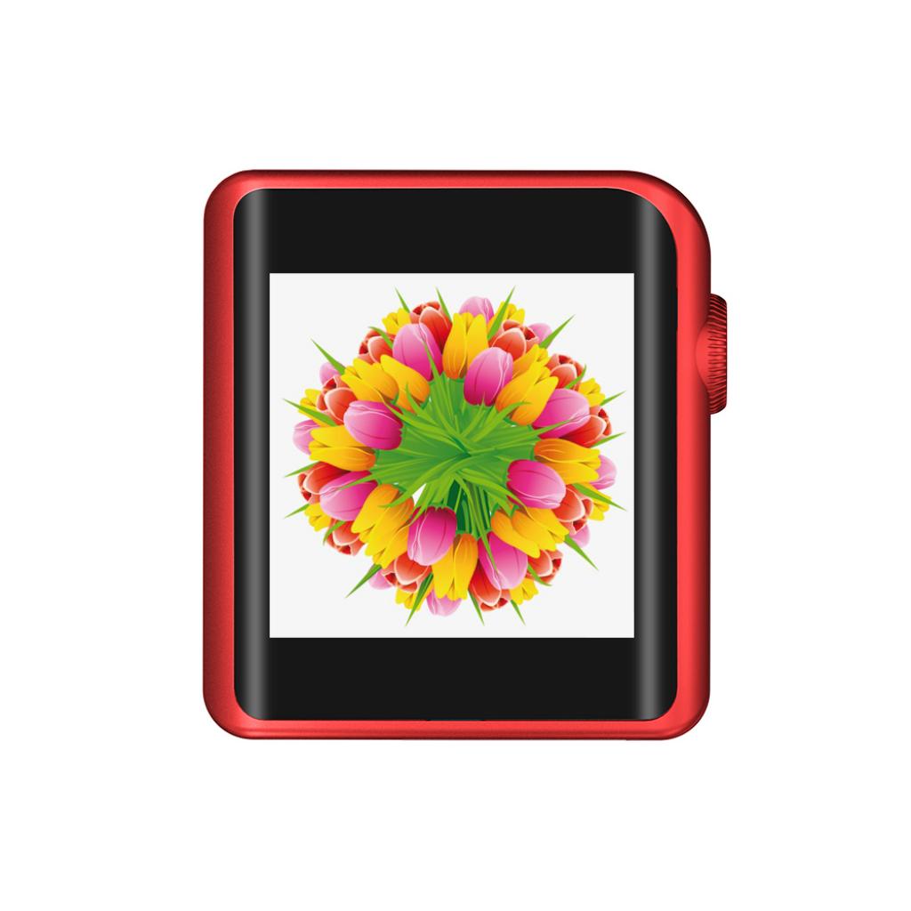 SHANLING デジタルオーディオプレーヤー ハイレゾ対応/Bluetooth/aptX/LDAC/タッチスクリーン/専用レザーケース同梱 レッド M0 RD set