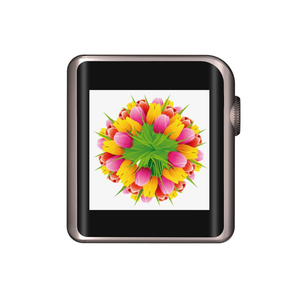 SHANLING デジタルオーディオプレーヤー ハイレゾ対応/Bluetooth/aptX/LDAC/タッチスクリーン/専用レザーケース同梱 チタニウムグレー M0 GY set